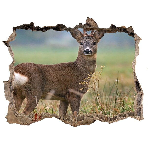 3D wall hole wallpaper Roe deer in its natural habitat