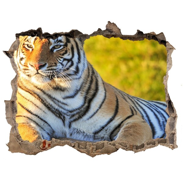 Hole in the wall sticker Portrait of a tiger