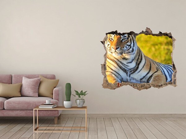 Hole in the wall sticker Portrait of a tiger