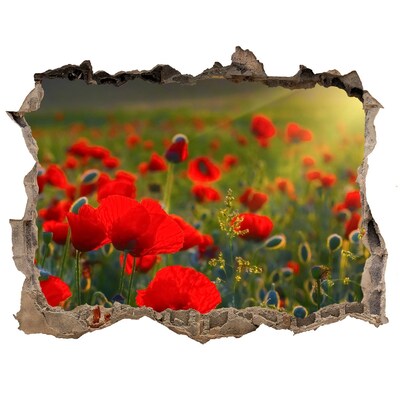 Hole in the wall decal A Hole-in-the-Wall Floral Paradise