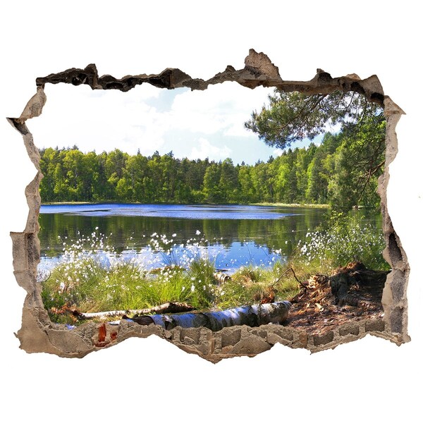Hole in the wall sticker Green forest by the lake