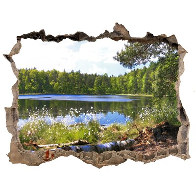 Hole in the wall sticker Green forest by the lake