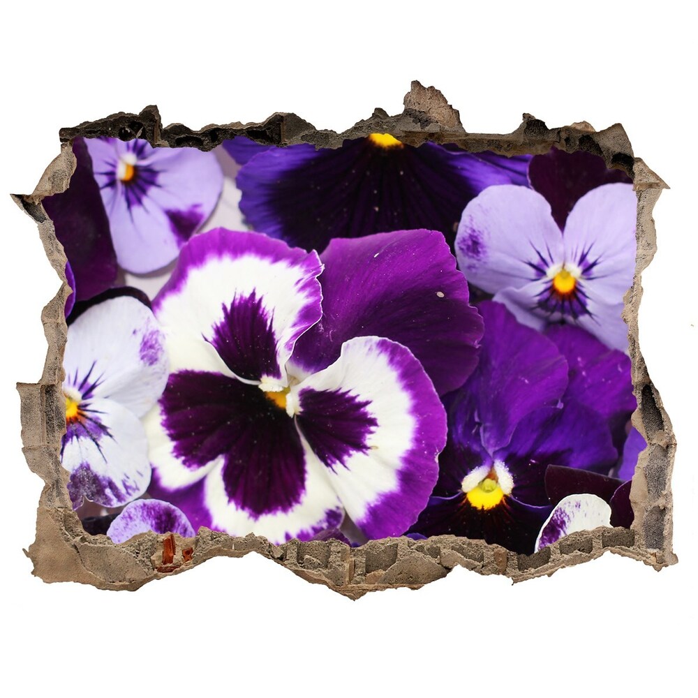 Hole in the wall sticker Pansies