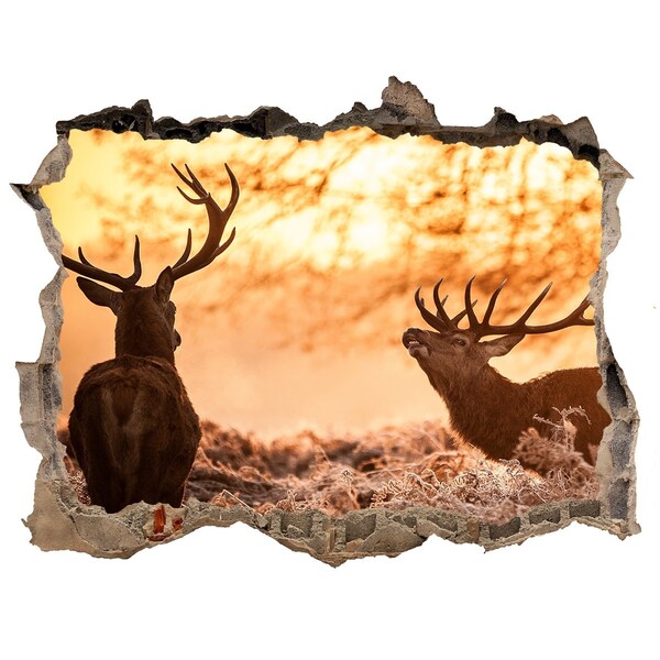 3D wall hole wallpaper Sunrise in the forest