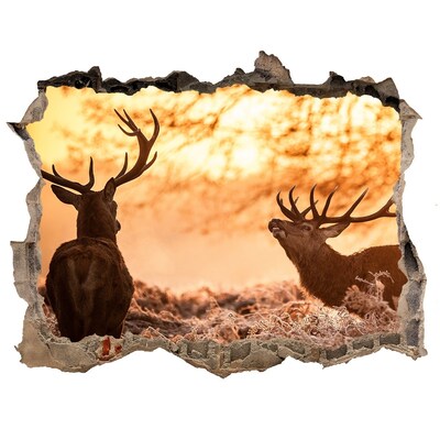 3D wall hole wallpaper East deer