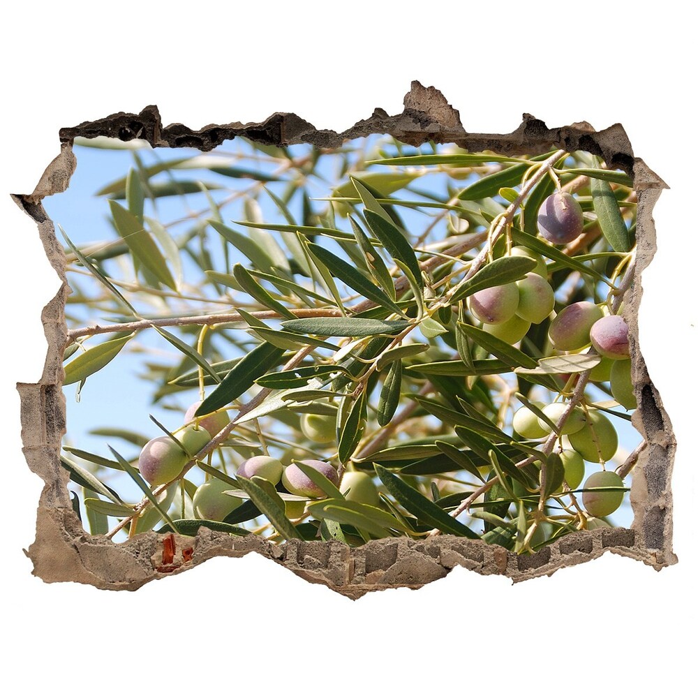 3D wall hole wallpaper Olive tree