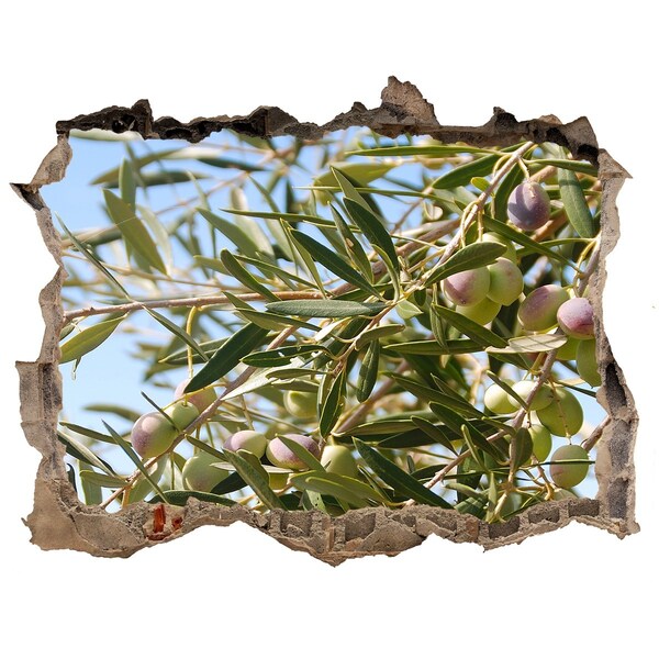 3D wall hole wallpaper Olive tree in the sunlight