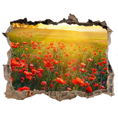 Hole in the wall decal Floral landscape in the meadow
