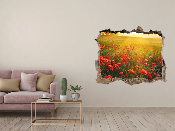 Hole in the wall decal Mak field