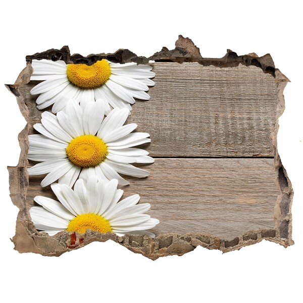 Hole in the wall decal Daisy wood