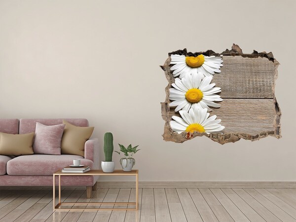 Hole in the wall decal Daisy wood