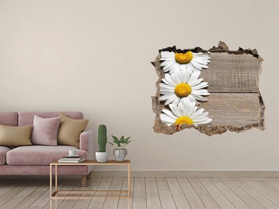 Hole in the wall decal A damaged wall with a wooden background