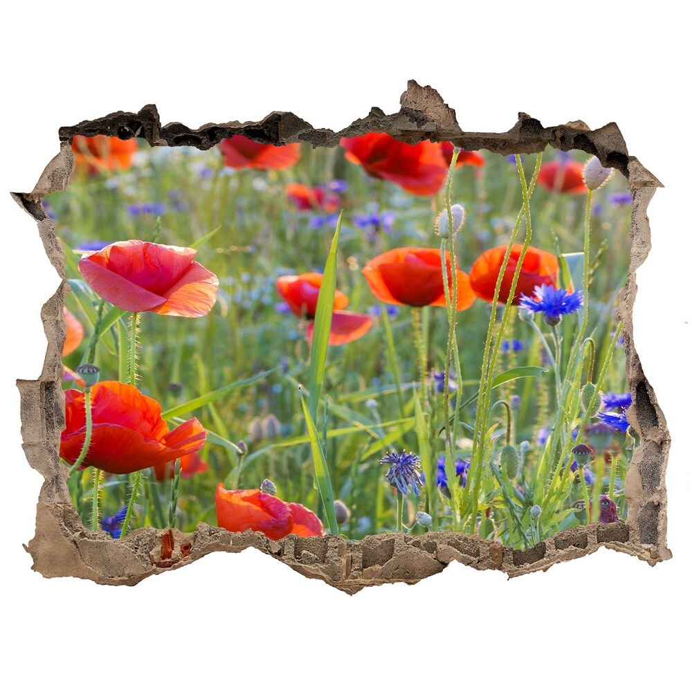 Hole wall sticker Field flowers