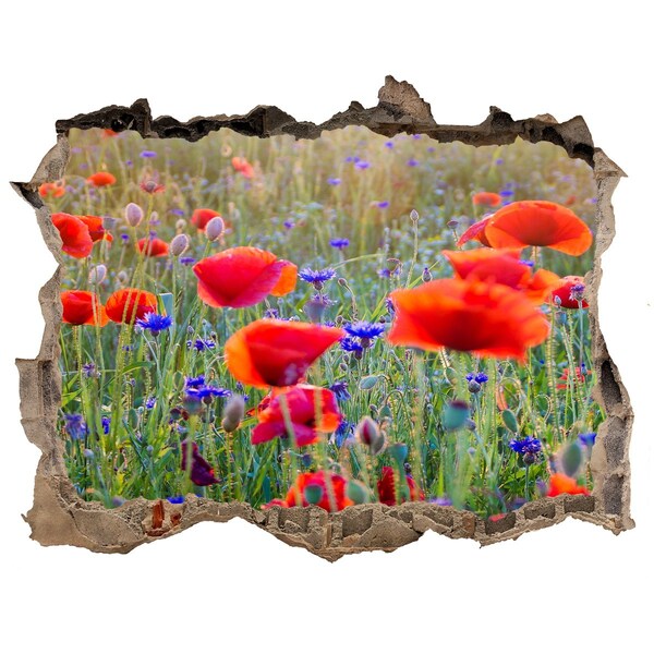Hole in the wall decal Hole in the Wall Flower Field
