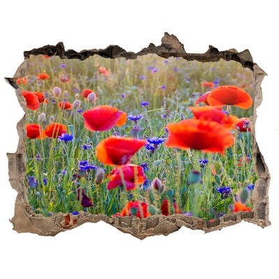 Hole in the wall decal Field flowers