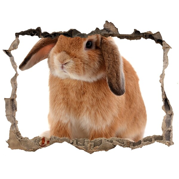 Hole in the wall sticker Rabbit ore