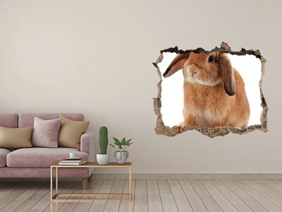 Hole in the wall sticker Bunny in a Hole in the Wall