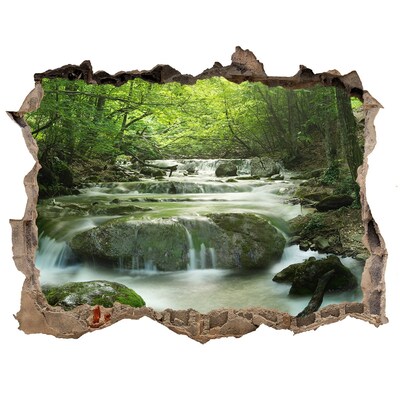 Hole wall sticker Green valley with a waterfall