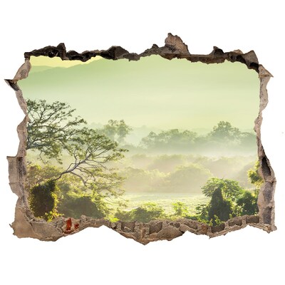 3D wall hole Green valley into the fog