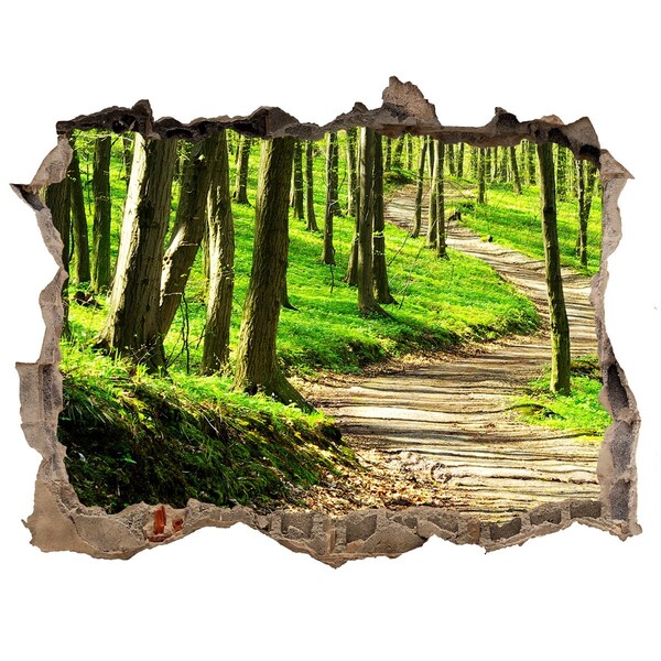 3D wall hole Forest path in the sunshine