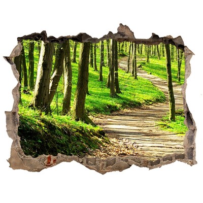 3D wall hole Forest path in the sunshine