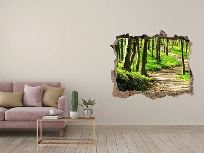 3D wall hole Forest path in the sunshine