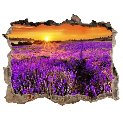 Hole wall sticker Lavender field at sunset