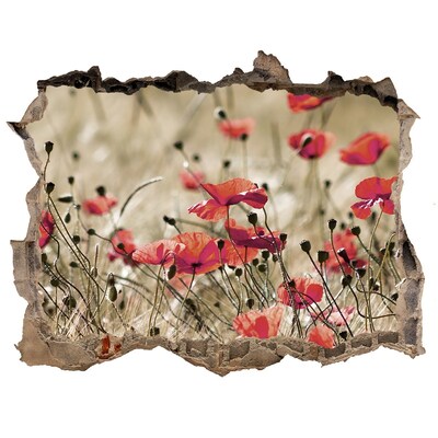 Hole wall sticker A floral paradise among concrete