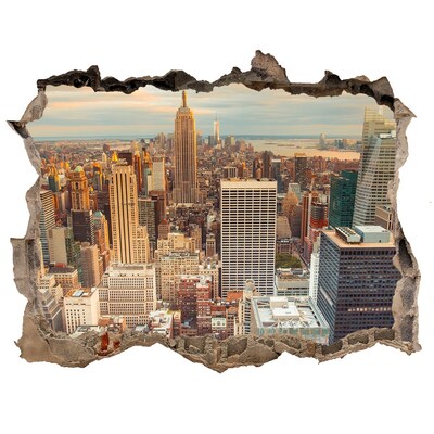 Hole wall sticker View of New York