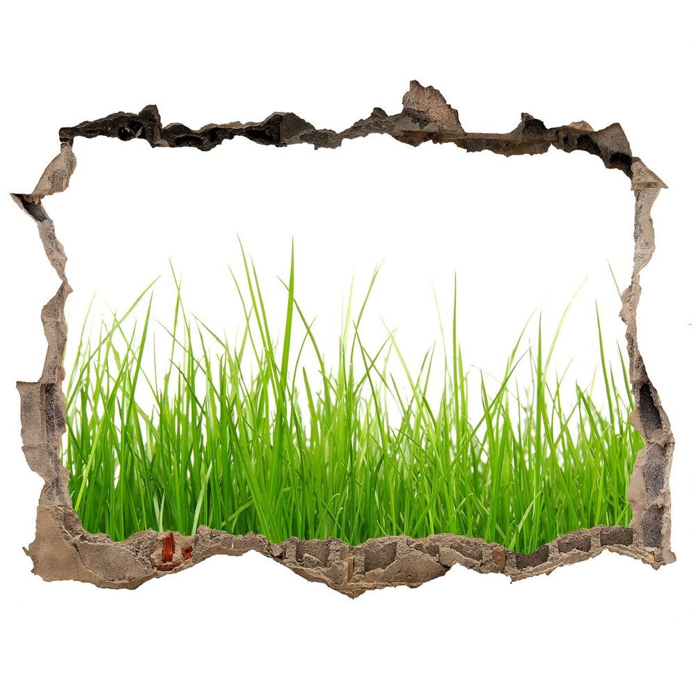 3D wall hole wallpaper Grass