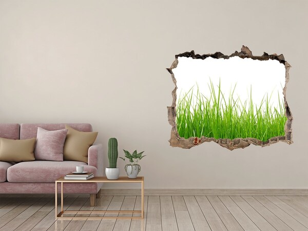 3D wall hole wallpaper A green meadow behind the wall