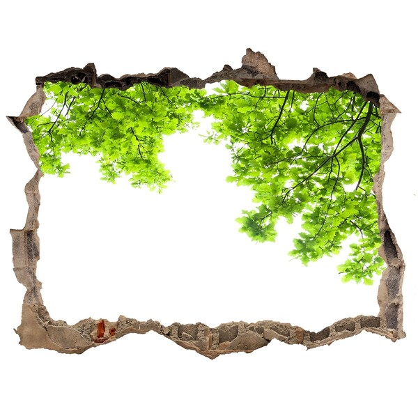 Hole in the wall sticker Oak leaves