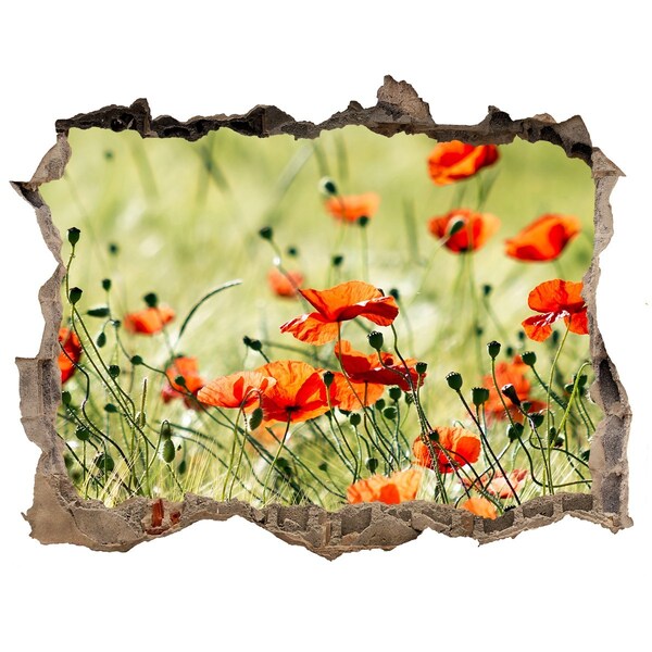 3D wall hole wallpaper A floral paradise among the poppies