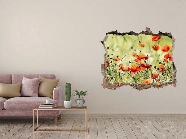 3D wall hole wallpaper A floral paradise among the poppies