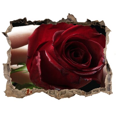 Hole wall sticker A rose in a ruined wall