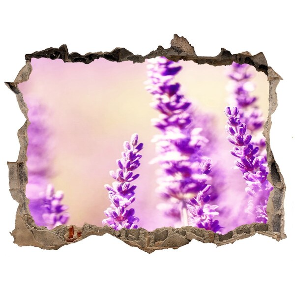 Hole in the wall decal Lavender flowers in a broken wall