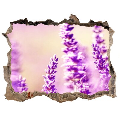 Hole in the wall decal Lavender