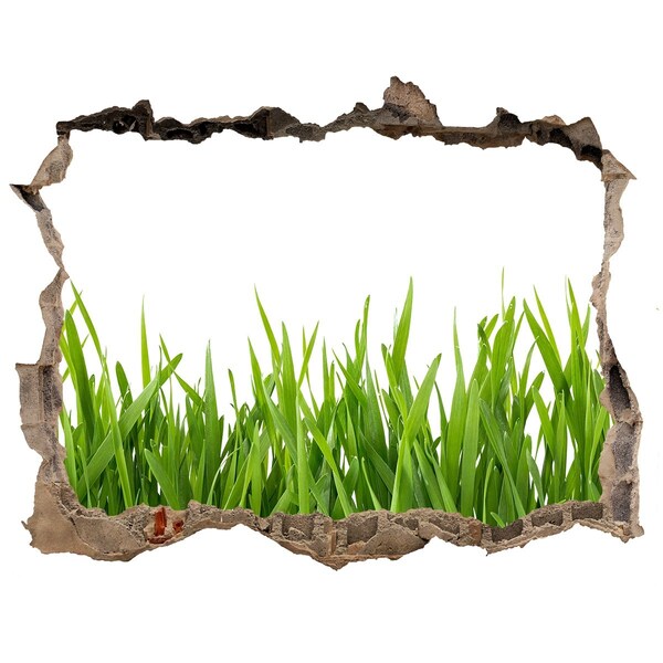 Hole in the wall decal Green meadow behind the wall
