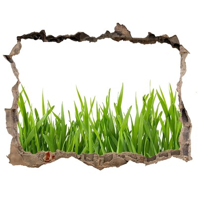 Hole in the wall decal Green meadow behind the wall