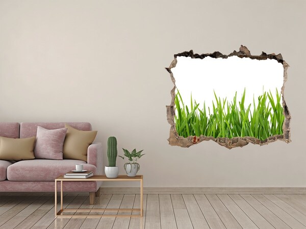 Hole in the wall decal Green meadow behind the wall