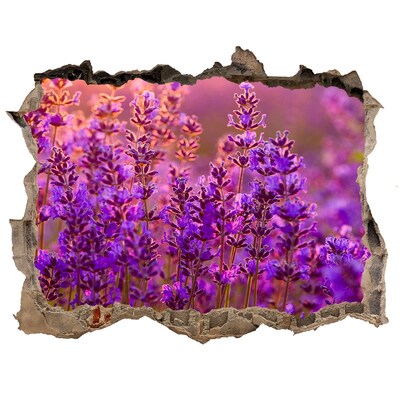 Hole in the wall sticker Lavender flower meadow