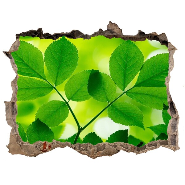 Hole in the wall decal Green leaves