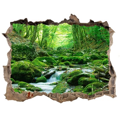 Hole in the wall decal Green stream in the forest