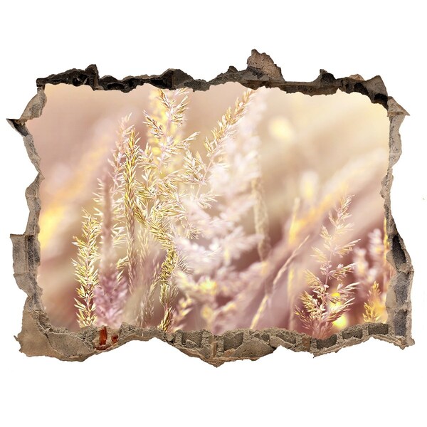 Hole in the wall sticker Flower meadow behind the wall