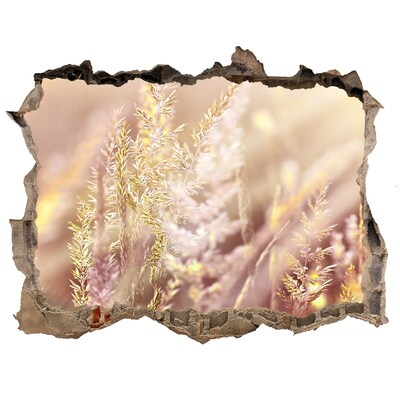 Hole in the wall sticker Flower meadow behind the wall