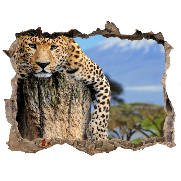 Hole in the wall sticker Leopard on the trunk