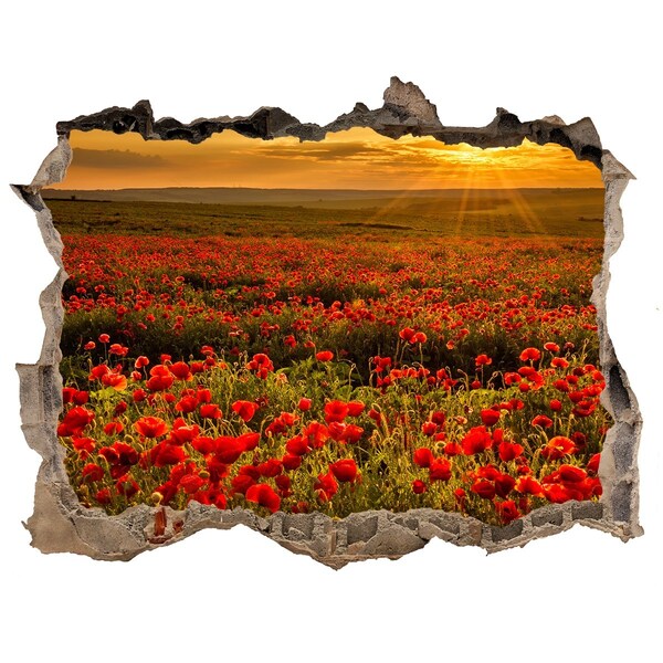Hole in the wall decal Floral landscape at sunset