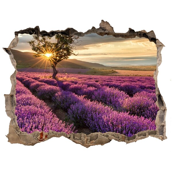 Hole in the wall decal Lavender fields at sunset