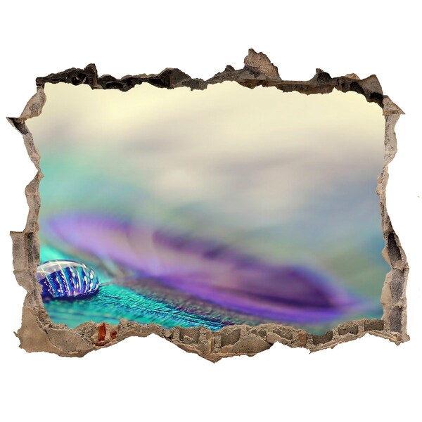 3D wall hole A drop on a peacock's feather