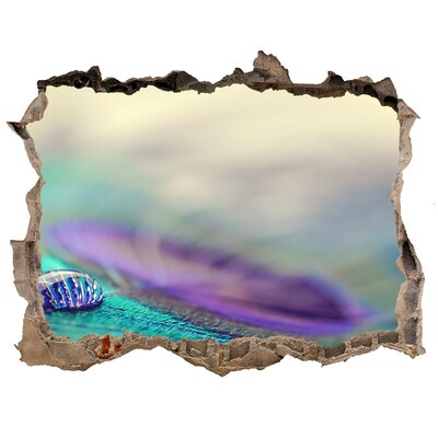 3D wall hole A drop on a peacock's feather